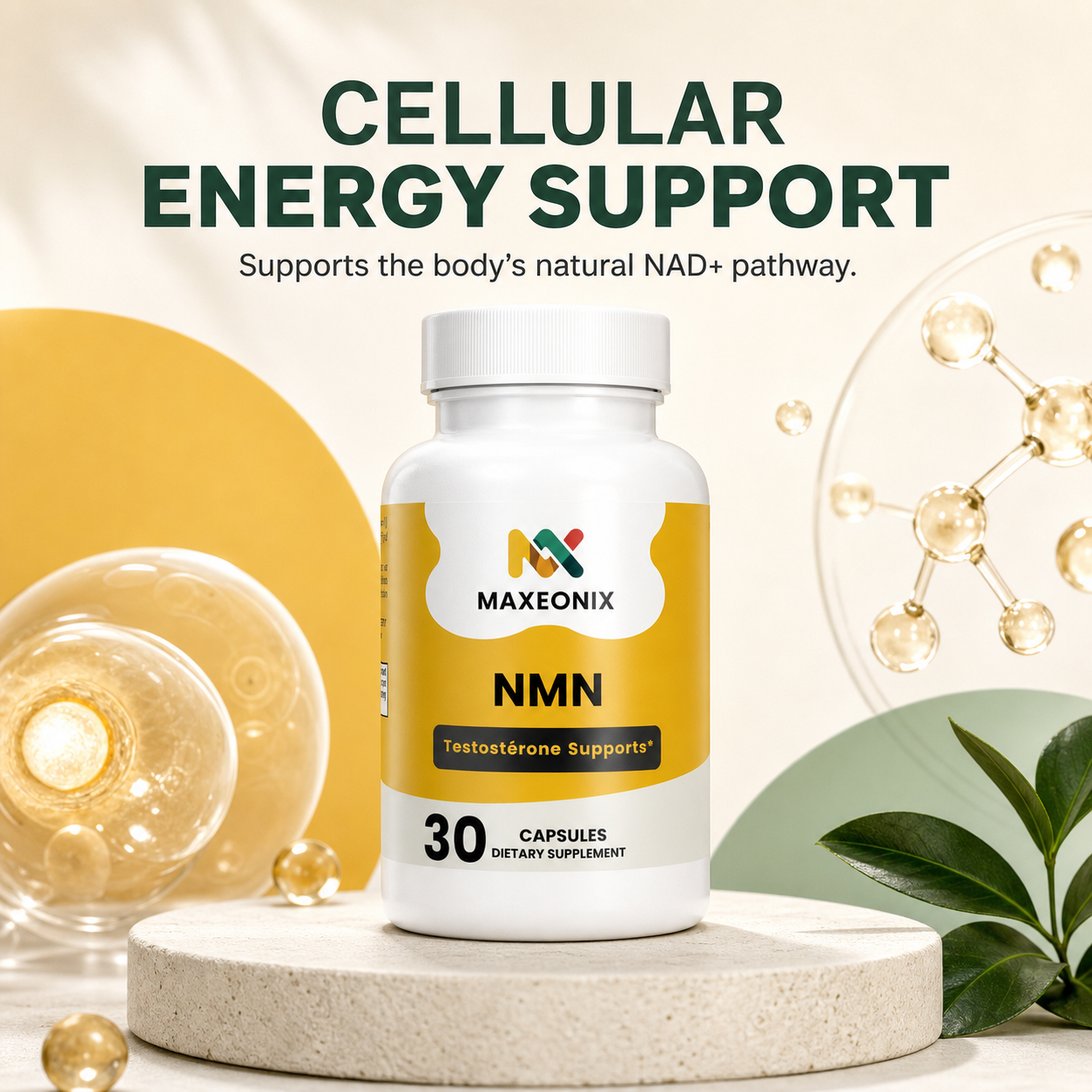 MAXEONIX NMN
